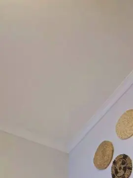 Adult Webcams with thi344 - Cam4