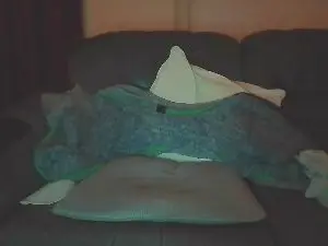 Free Live Porn with bob367 - Cam4