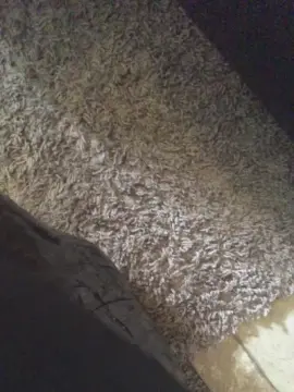 Adult Webcam with Pervinyall - Cam4