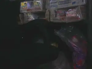 Adult Video Chat with PICA_DAN - Cam4