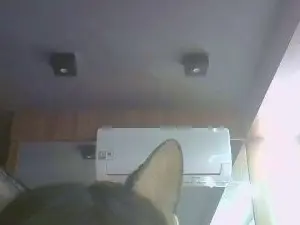 Watch Live Sex Cams with SkinnyKittenCam - Cam4