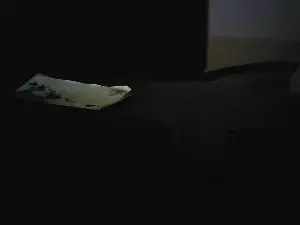 Adult Webcam with Giornalista66 - Cam4
