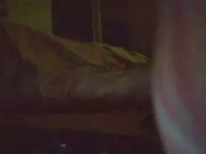 Free Live Porn with fer19_hot - Cam4