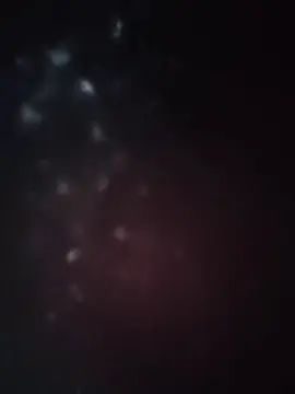 Adult Video Chat with rex246 - Cam4