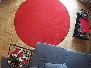 Private Sex Chat with voyeurcam-julmodels-living-7 - Camsoda