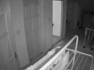 Adult Webcam with voyeurcam-julmodels-hall-2nd - Camsoda