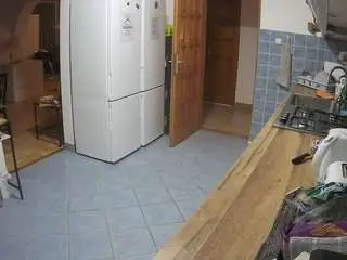 Live Sex with voyeurcam-julmodels-kitchen - Camsoda