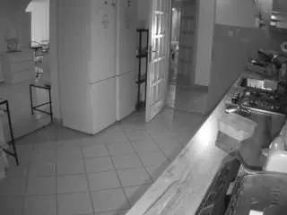 Sex Chat with voyeurcam-julmodels-kitchen - Camsoda