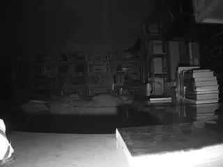 Sex Chat with voyeurcam-bridgetleewalters-02 - Camsoda