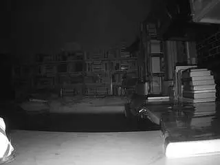 Live Sex with voyeurcam-bridgetleewalters-02 - Camsoda