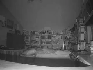 Free Live Porn with voyeurcam-bridgetleewalters-02 - Camsoda