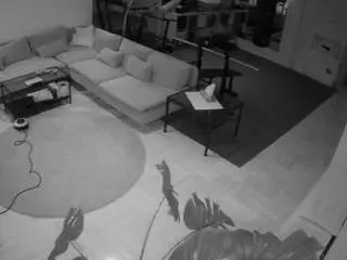 Sex Cam with voyeurcam-julmodels-living-2 - Camsoda