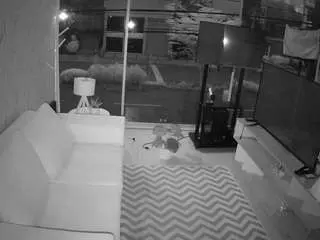 Nude Webcam with voyeurcam-jb-room-9 - Camsoda