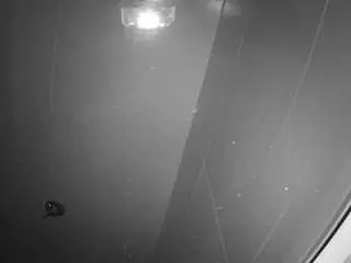 Adult Video Chat with voyeurcam-casa-salsa-bathroom-11 - Camsoda