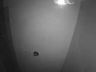 Live Sex with voyeurcam-casa-salsa-bathroom-11 - Camsoda