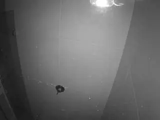 Sex Cam with voyeurcam-casa-salsa-bathroom-11 - Camsoda