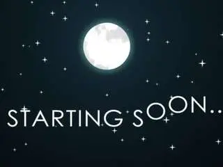 Adult Webcams with springfugate - Camsoda