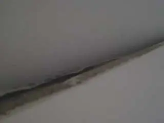 Adult Webcams with voyeurcam-casa-salsa-parlor - Camsoda