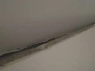 Sex Chat with voyeurcam-casa-salsa-parlor - Camsoda