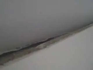 Free Live Porn with voyeurcam-casa-salsa-parlor - Camsoda