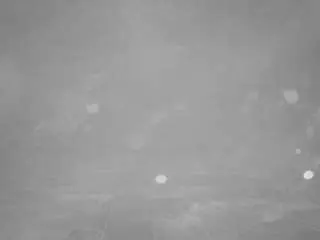 Adult Webcam with voyeurcam-casa-salsa-pool-1 - Camsoda