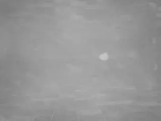 Adult Webcam with voyeurcam-casa-salsa-pool-1 - Camsoda