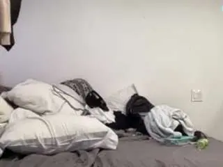 Best live sex cam show with mrshyboy32 - Camsoda