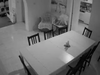 Best Webcam with voyeurcam-julmodels-dining - Camsoda