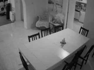 Free Live Porn with voyeurcam-julmodels-dining - Camsoda