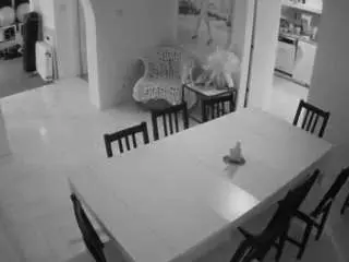 Watch Live Sex Cams with voyeurcam-julmodels-dining - Camsoda