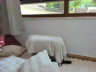 Sex Chat with awesome-jolie - Camsoda