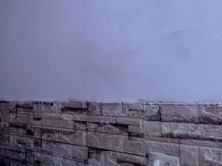 Adult Video Chat with honeypussybiz - Camsoda