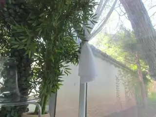 Sex Cam with lexistorm - Camsoda