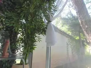 Best Webcam with lexistorm - Camsoda