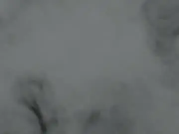 Free Porn Cam with tonywilsonn - Chaturbate