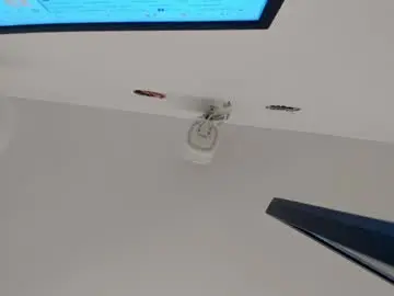 Adult Webcams with noah_pariss - Chaturbate