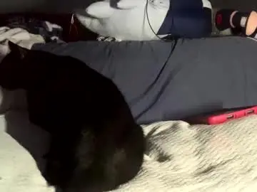 Private Sex Chat with bunny15888 - Chaturbate