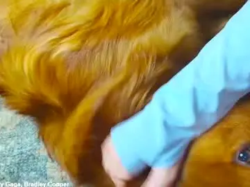 Live Sex Cam with x_lily_x - Chaturbate