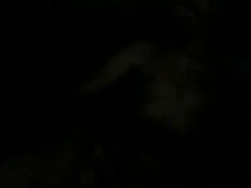 Best live sex cam show with fffjj021 - Chaturbate
