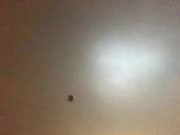 Adult Webcam with hardforyou3030 - Chaturbate