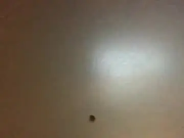 Live Porn with hardforyou3030 - Chaturbate