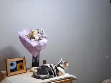 Live Porn with leilacurson - Chaturbate