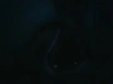 Sex Chat with queen_wow2 - Chaturbate