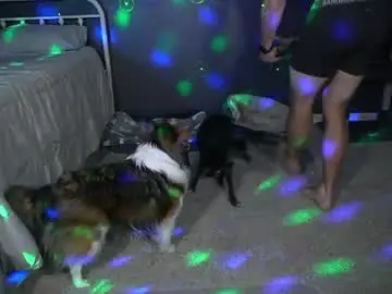 Sex Cam with sydaffect - Chaturbate