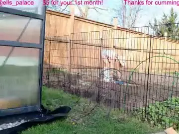 Adult Webcam with ells_palace - Chaturbate