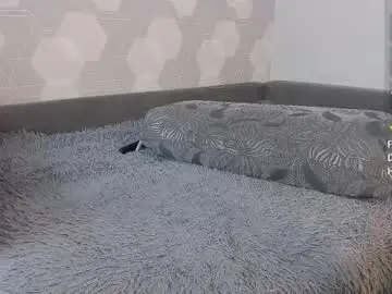 Best Webcam with eva_curl - Chaturbate