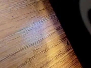 Sex Cam with morthy_downey - Chaturbate