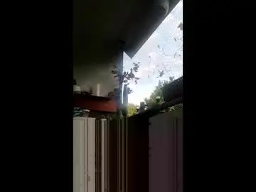 Sex Cam with deins_x - Chaturbate