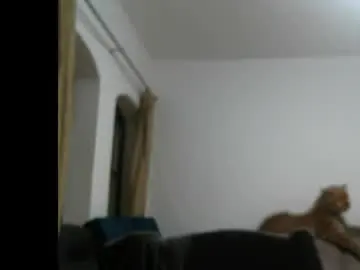 Live Sex with jlmbud - Chaturbate