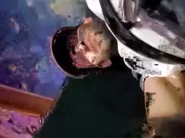 Adult Webcams with bigwytecock1979 - Chaturbate
